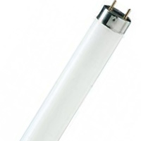 Лампа люминисцентная PhilipsTL-D G13 18W 54-765 SLV/25